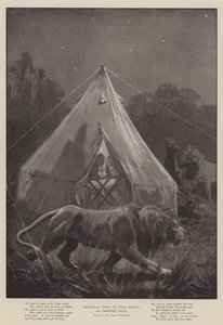 Kerstnacht in West-Afrika, een ongenode gast